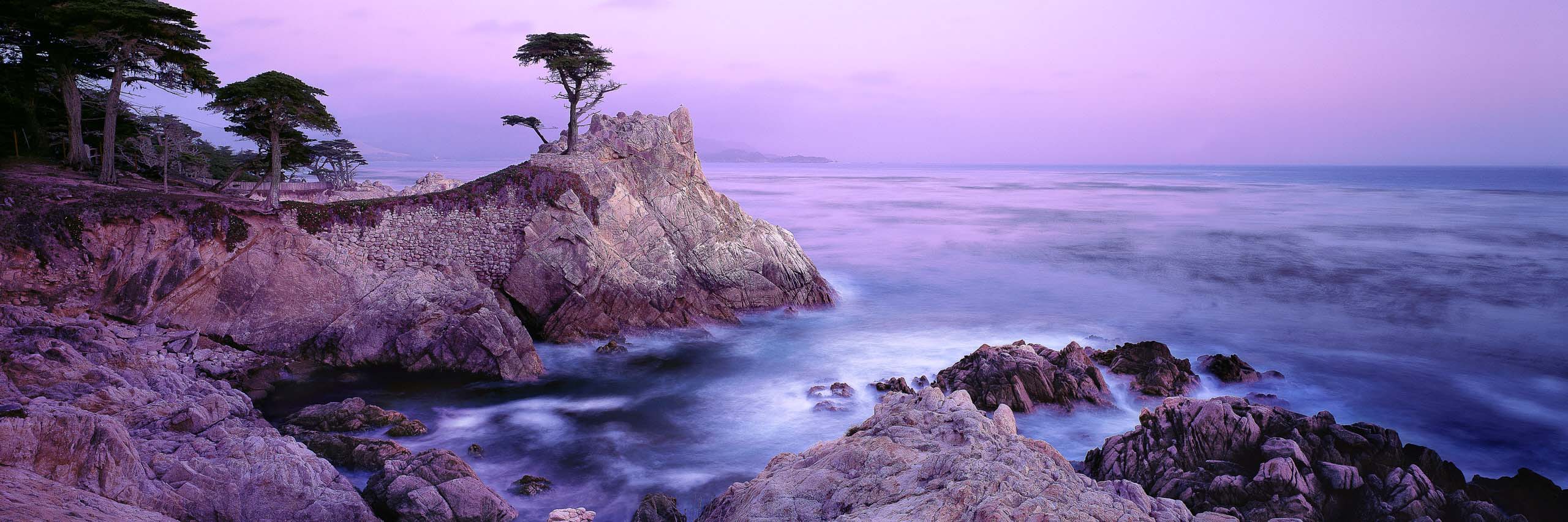 The Lone Cypress, Carmel, USA