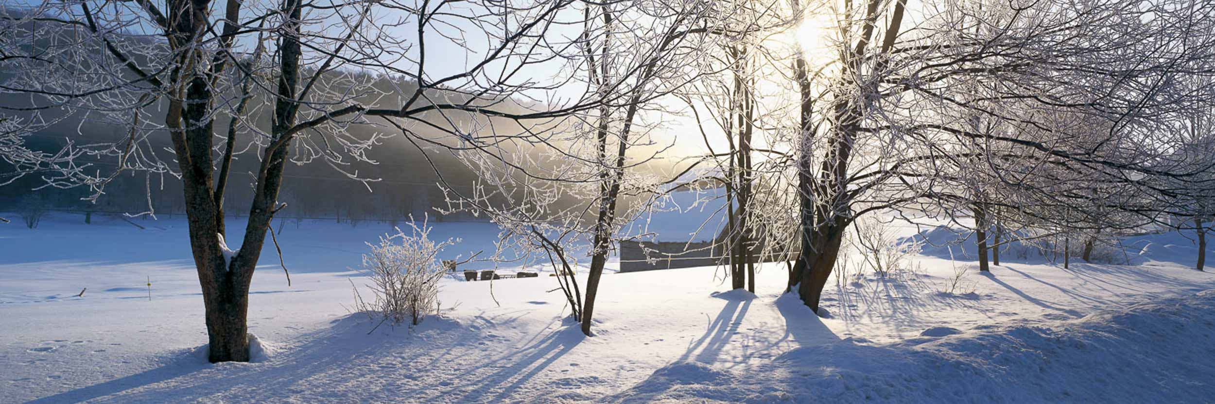 Winter Serenity, VT